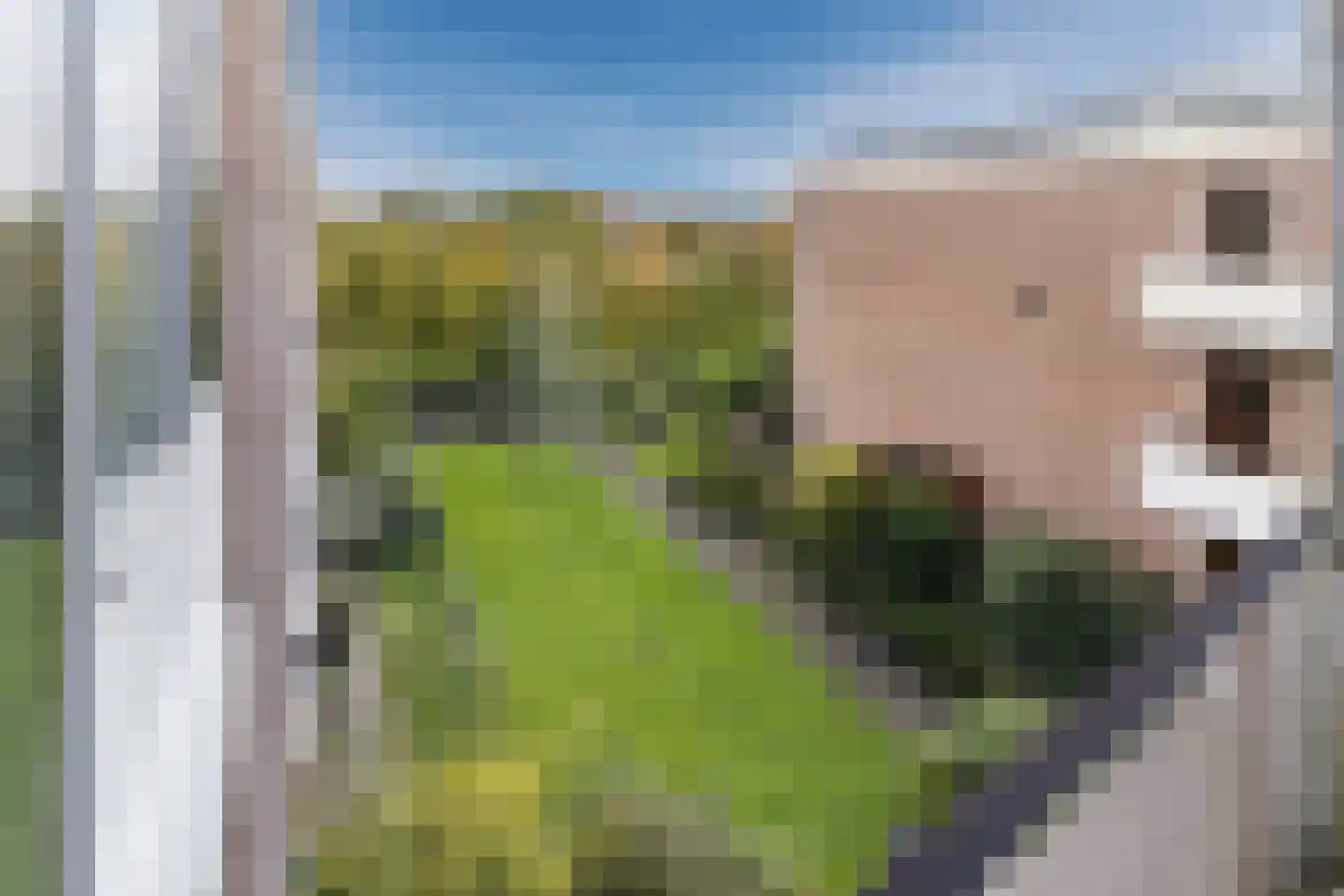 Groenoord 358 Alphen aan den Rijn thumbnail 13