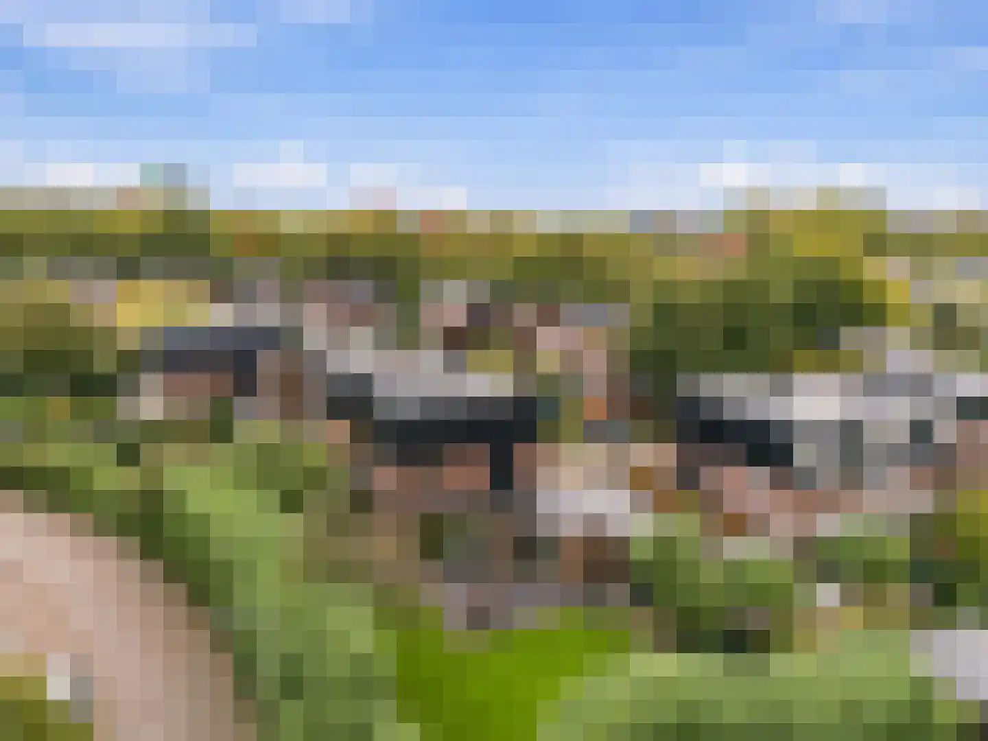 Groenoord 372 Alphen aan den Rijn thumbnail 15