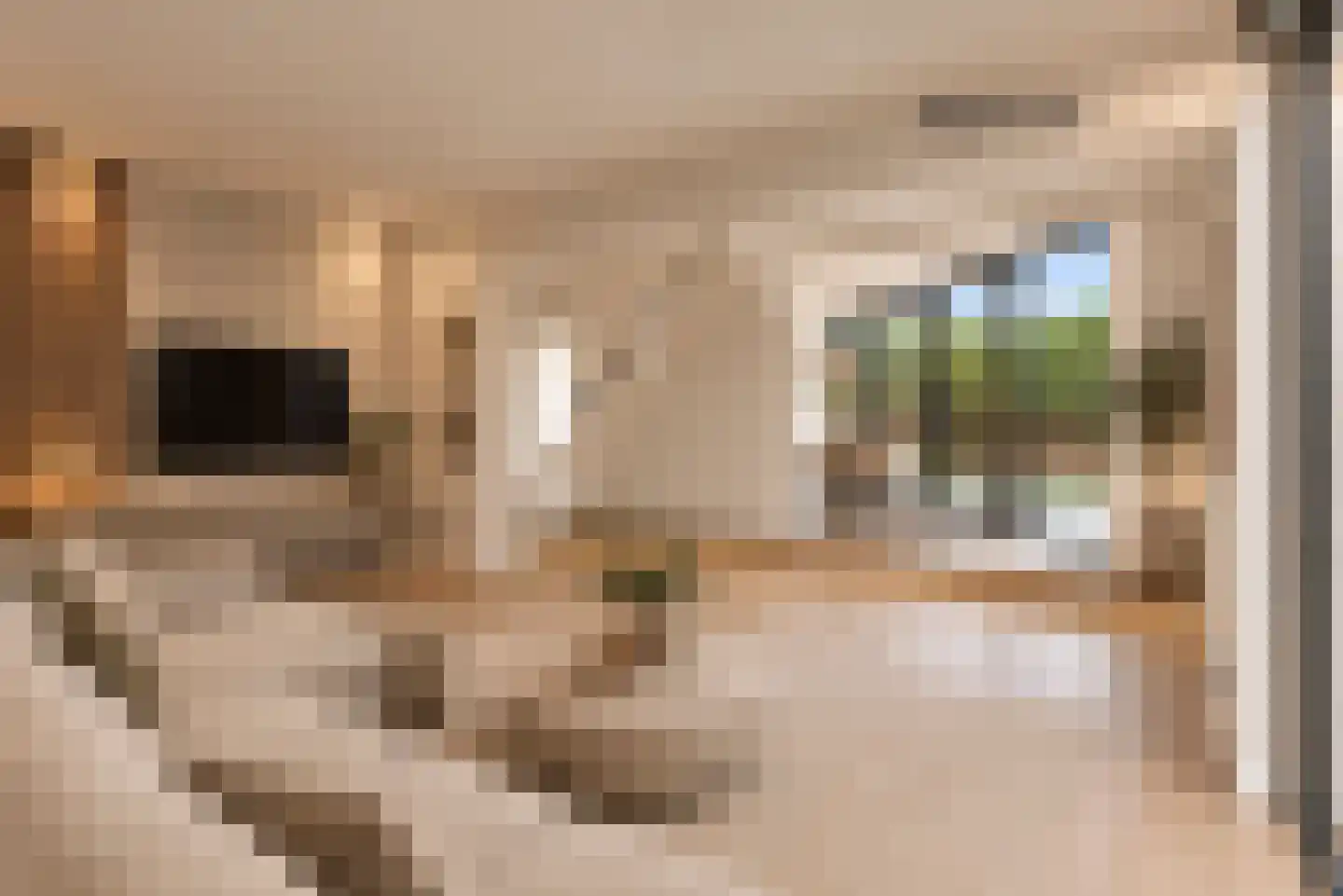 Groenoord 372 Alphen aan den Rijn thumbnail 4