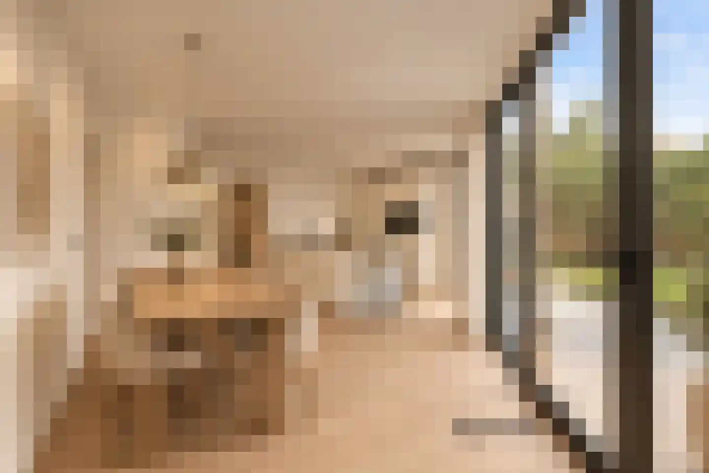 Groenoord 372 Alphen aan den Rijn thumbnail 8