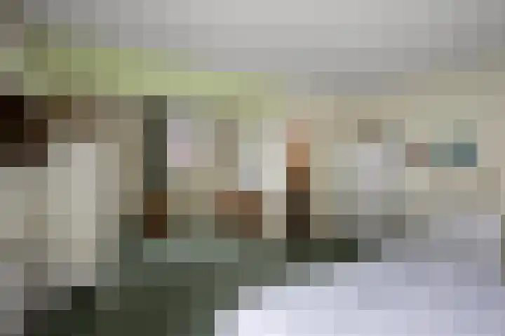 Groenoord 384 Alphen aan den Rijn thumbnail 14