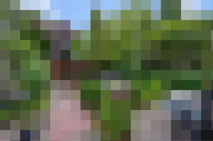 Groenoord 384 Alphen aan den Rijn thumbnail 26