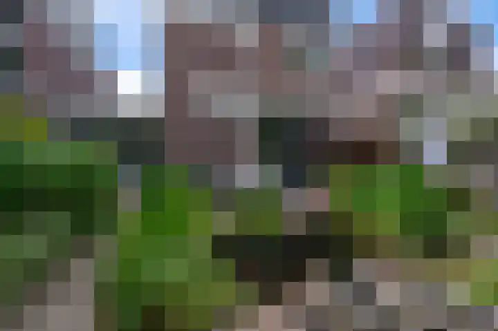 Groenoord 384 Alphen aan den Rijn thumbnail 30