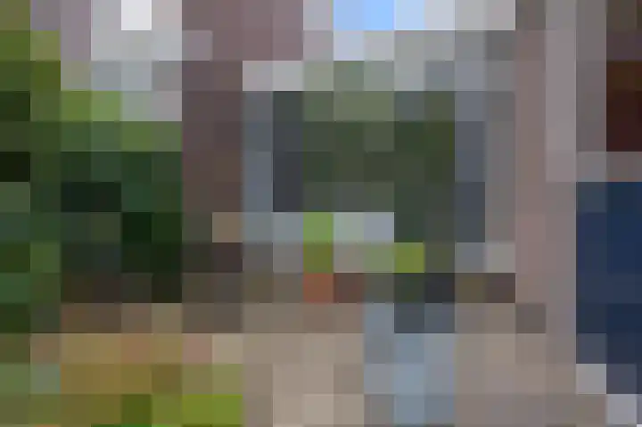Groenoord 384 Alphen aan den Rijn thumbnail 31