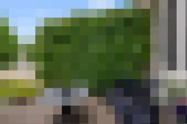 Groenoord 384 Alphen aan den Rijn thumbnail 35