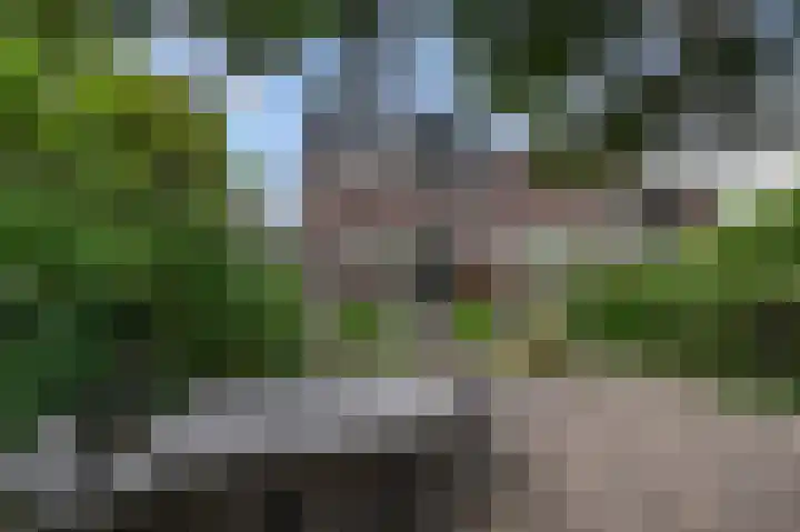 Groenoord 384 Alphen aan den Rijn thumbnail 4