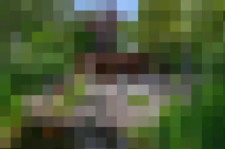Groenoord 384 Alphen aan den Rijn thumbnail 5