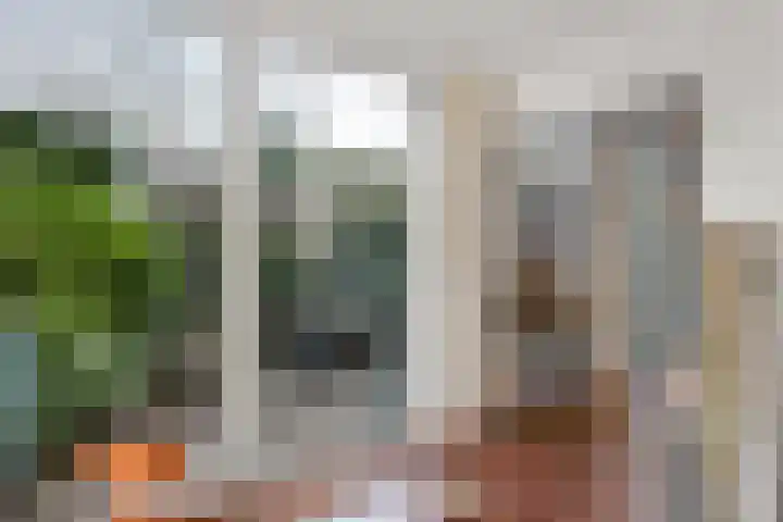Groenoord 386 Alphen aan den Rijn thumbnail 10