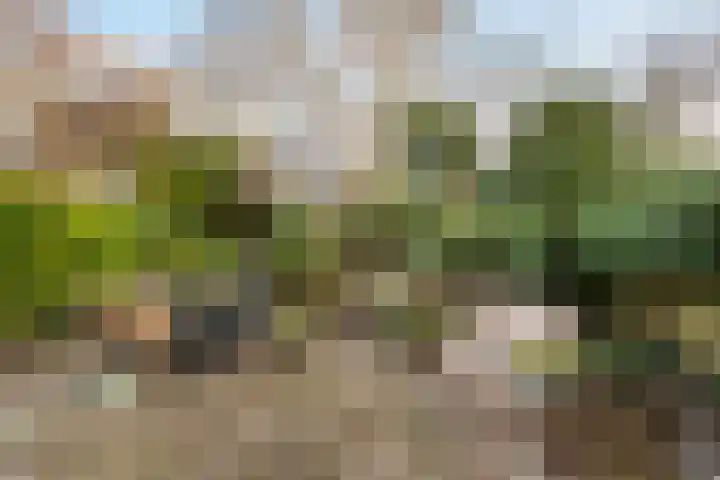 Groenoord 386 Alphen aan den Rijn thumbnail 11