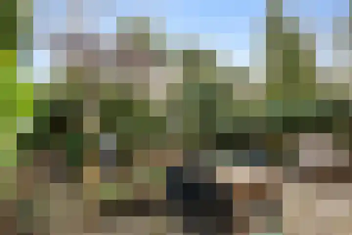 Groenoord 386 Alphen aan den Rijn thumbnail 12