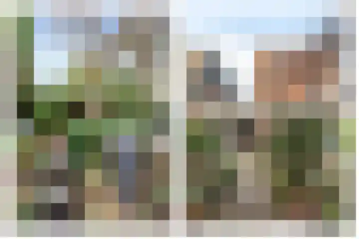 Groenoord 386 Alphen aan den Rijn thumbnail 15