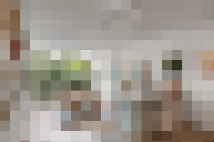 Groenoord 386 Alphen aan den Rijn thumbnail 5