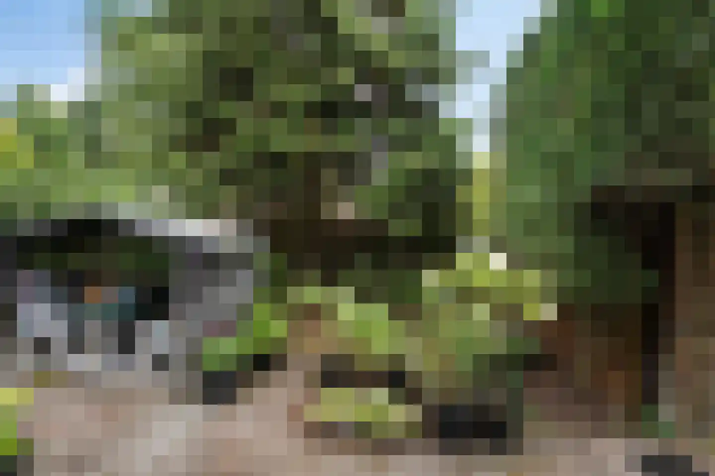Groenoord 408 Alphen aan den Rijn thumbnail 29