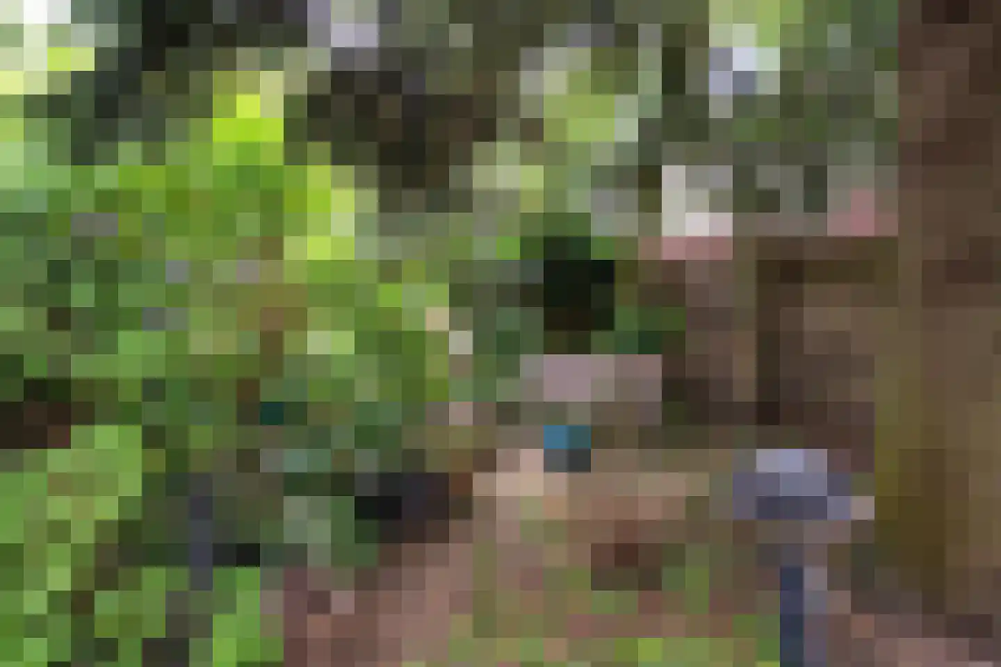 Groenoord 408 Alphen aan den Rijn thumbnail 30