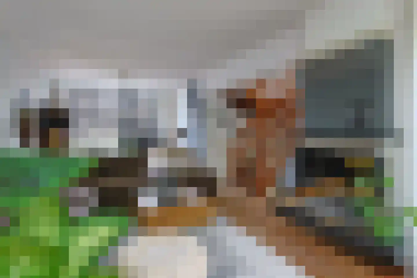 Groenoord 414 Alphen aan den Rijn thumbnail 22