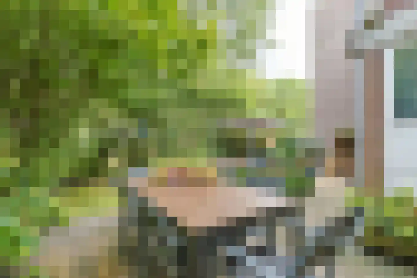 Groenoord 414 Alphen aan den Rijn thumbnail 55
