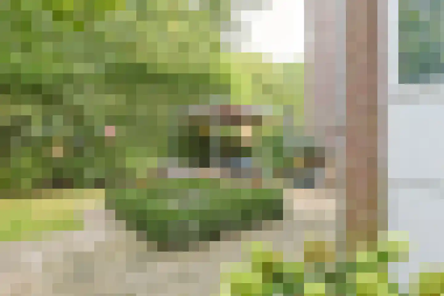 Groenoord 414 Alphen aan den Rijn thumbnail 56