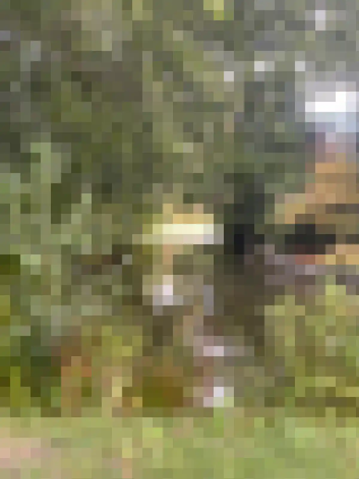 Groenoord 414 Alphen aan den Rijn thumbnail 62