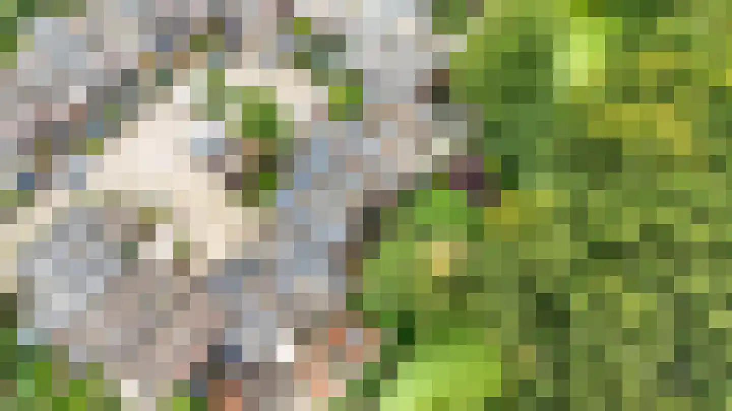 Groenoord 414 Alphen aan den Rijn thumbnail 63