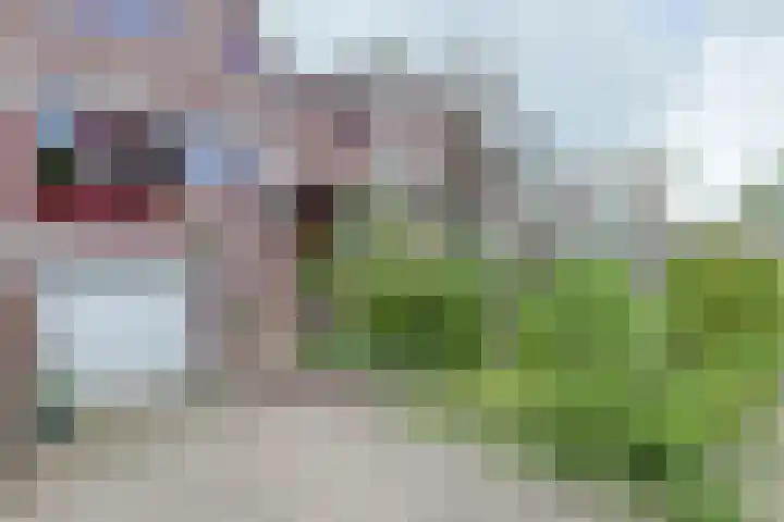 Groenoord 432 Alphen aan den Rijn foto 2