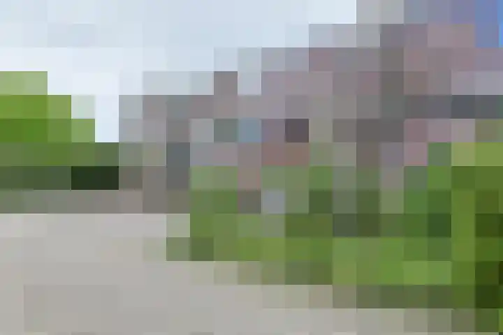 Groenoord 432 Alphen aan den Rijn thumbnail 6