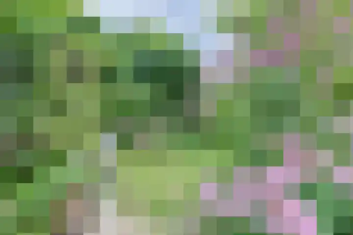Groenoord 432 Alphen aan den Rijn thumbnail 60
