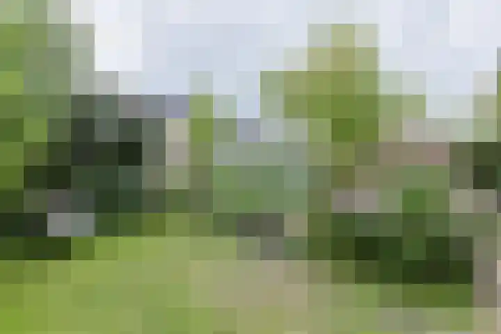 Groenoord 432 Alphen aan den Rijn thumbnail 61