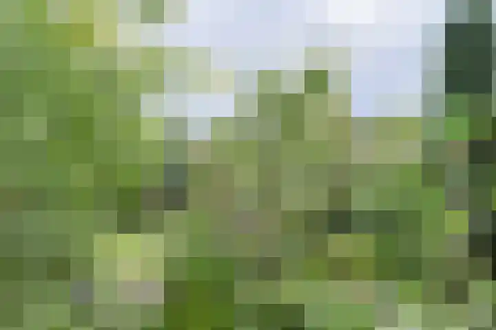 Groenoord 432 Alphen aan den Rijn thumbnail 63