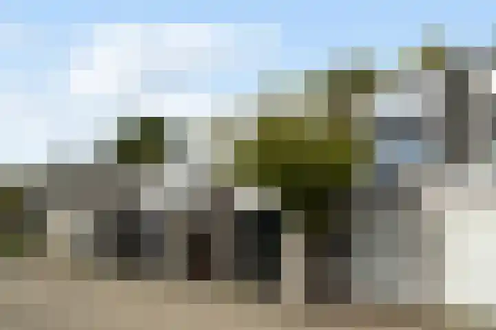 Groenoord 46 Alphen aan den Rijn thumbnail 10