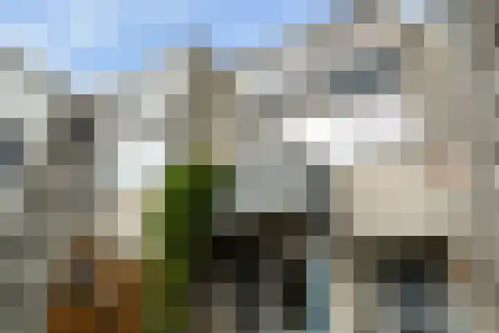 Groenoord 46 Alphen aan den Rijn thumbnail 13