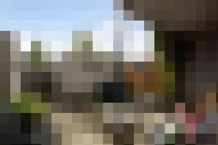 Groenoord 46 Alphen aan den Rijn thumbnail 23