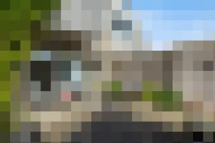 Groenoord 46 Alphen aan den Rijn thumbnail 24