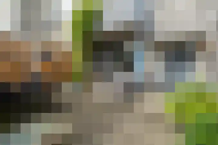 Groenoord 46 Alphen aan den Rijn thumbnail 25