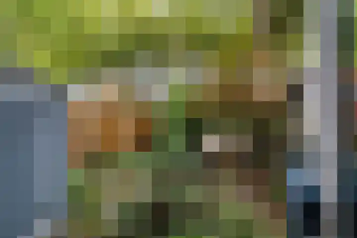 Groenoord 46 Alphen aan den Rijn thumbnail 28
