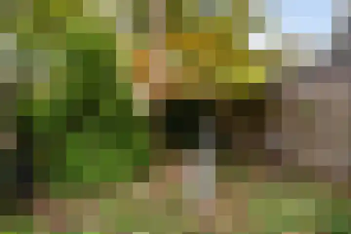 Groenoord 46 Alphen aan den Rijn thumbnail 29