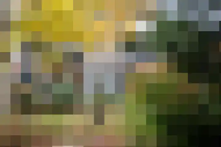 Groenoord 46 Alphen aan den Rijn thumbnail 30