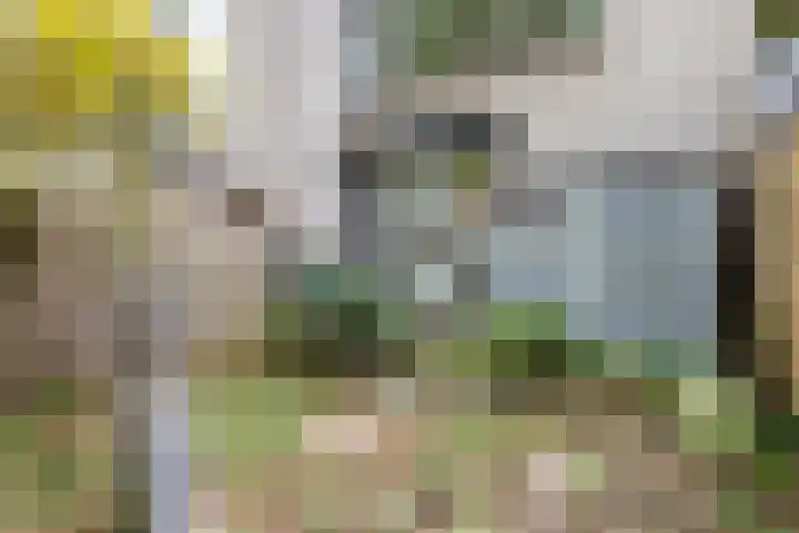Groenoord 46 Alphen aan den Rijn thumbnail 31