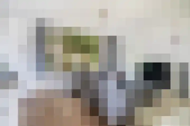Groenoord 46 Alphen aan den Rijn thumbnail 37