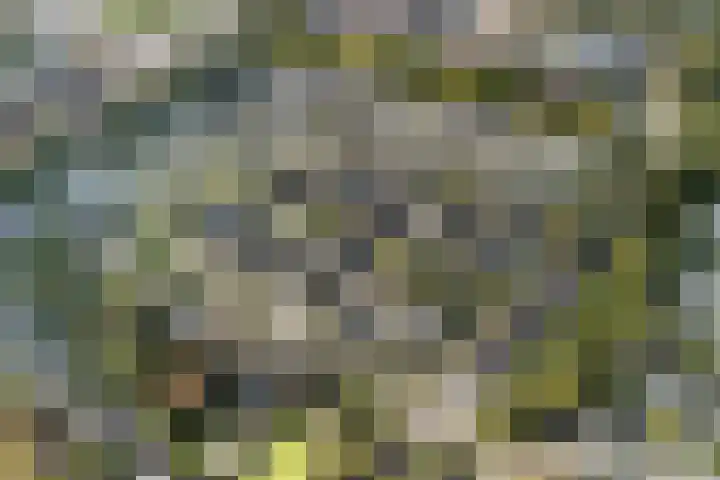 Groenoord 46 Alphen aan den Rijn thumbnail 4