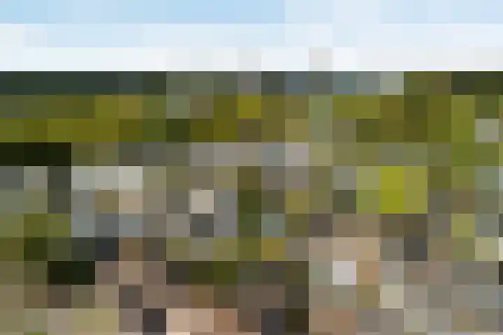 Groenoord 46 Alphen aan den Rijn thumbnail 5