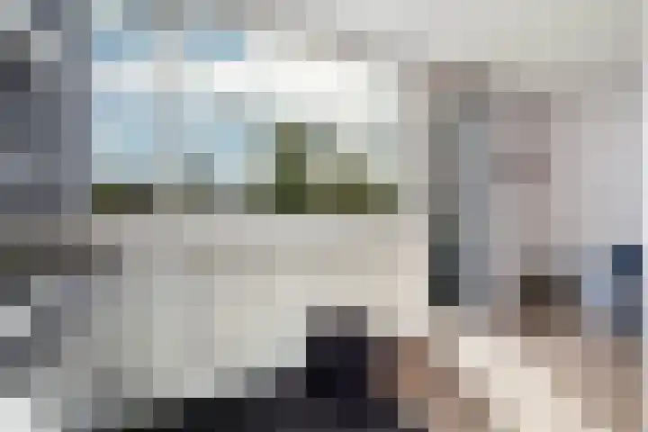 Groenoord 46 Alphen aan den Rijn thumbnail 51