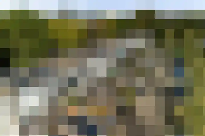 Groenoord 46 Alphen aan den Rijn thumbnail 6