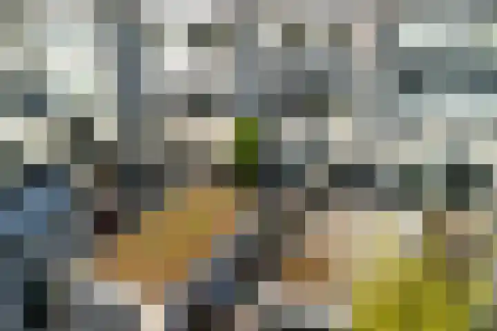 Groenoord 46 Alphen aan den Rijn thumbnail 66