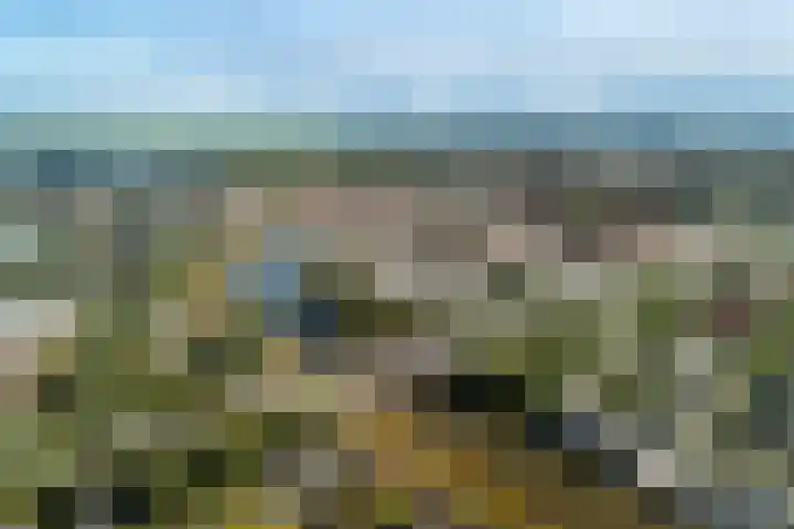 Groenoord 46 Alphen aan den Rijn thumbnail 67