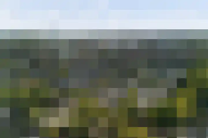 Groenoord 46 Alphen aan den Rijn thumbnail 69