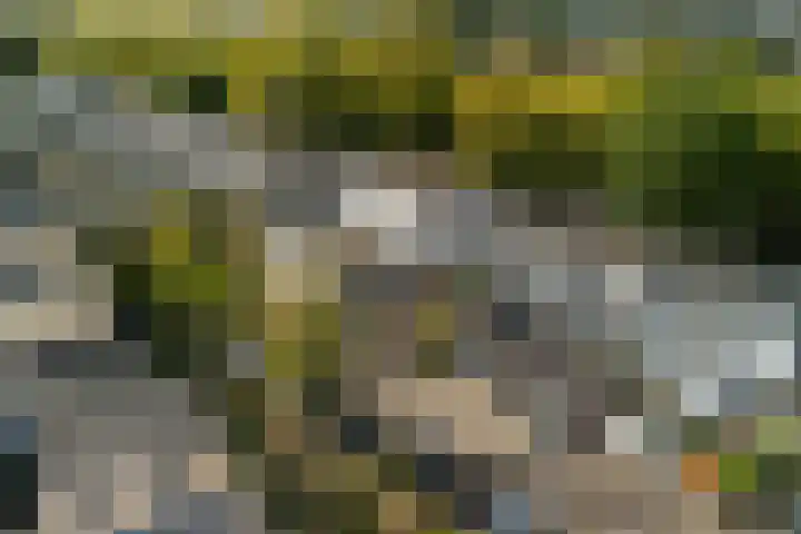 Groenoord 46 Alphen aan den Rijn thumbnail 7