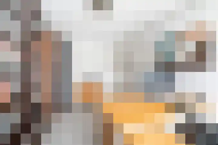 Groenoord 50 Alphen aan den Rijn thumbnail 18