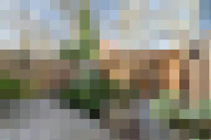 Groenoord 50 Alphen aan den Rijn thumbnail 27