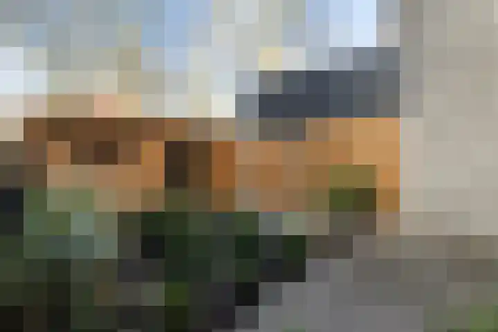 Groenoord 50 Alphen aan den Rijn thumbnail 28