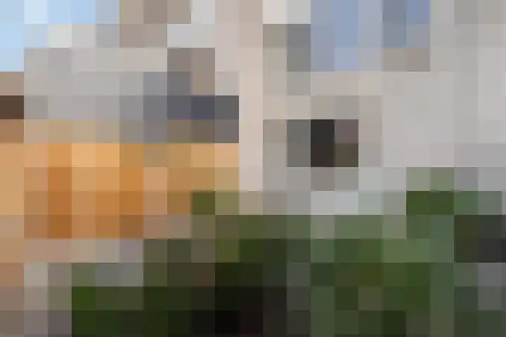 Groenoord 50 Alphen aan den Rijn thumbnail 30